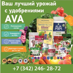 картинка для авроры - копия