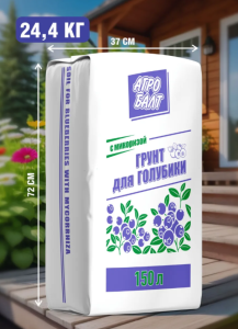 голубика 150